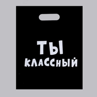Пакет Ты классный (подарочный) 31х40см 4840904