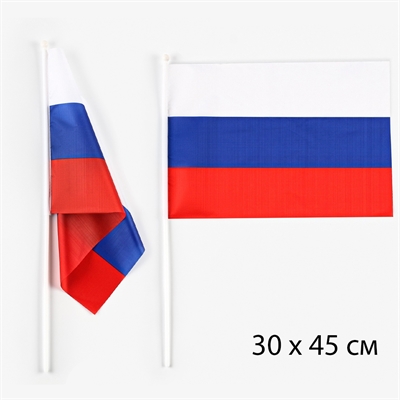 Флаг России 30х40см (шток 60см) - фото 1314999