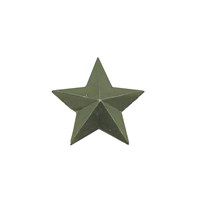 Звезда на погоны мет. 20 мм защитная (зелёная)
