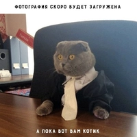 Приклад рамочный для арбалета Приклад рамочный для арбалета