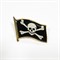 Значок Флаг Пират Веселый Роджер, (смола) на пимсе - фото 1093009
