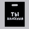 Пакет Ты классный (подарочный) 31х40см 4840904