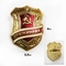 Значок Дружинник (СССР) 890570