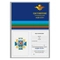 Знак ВДВ СССР (эмаль) 80078