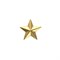 Звезда на погоны мет. 20 мм золотая - фото 139454